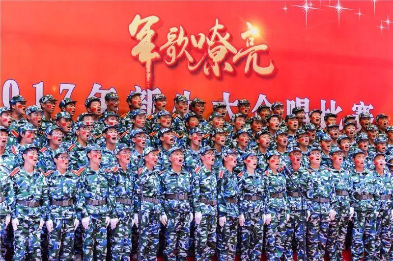 寻找萌小老虎